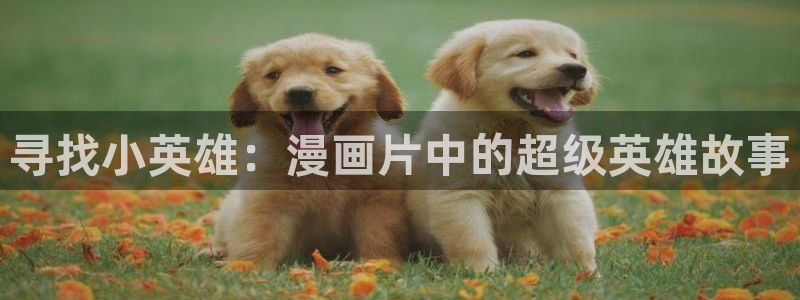 少女弹珠汽水1到4集风车动漫：寻找小英雄：漫画片中的超级英雄故事