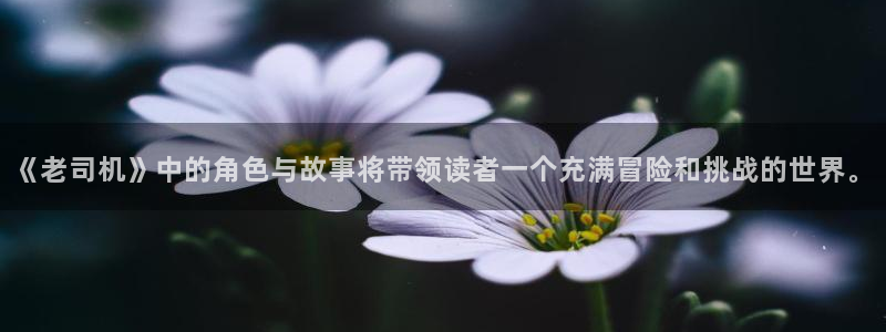 樱花曰漫：《老司机》中的角色与故事将带领读者一个充满冒险和挑战的世界。