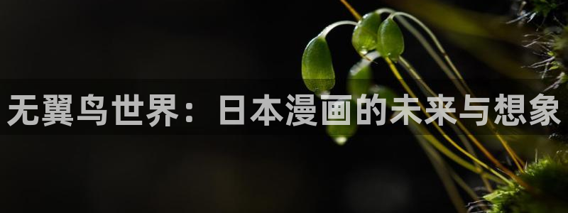 风车动漫免费阅读看漫画下拉无广告：无翼鸟世界：日本漫画的未来与想象
