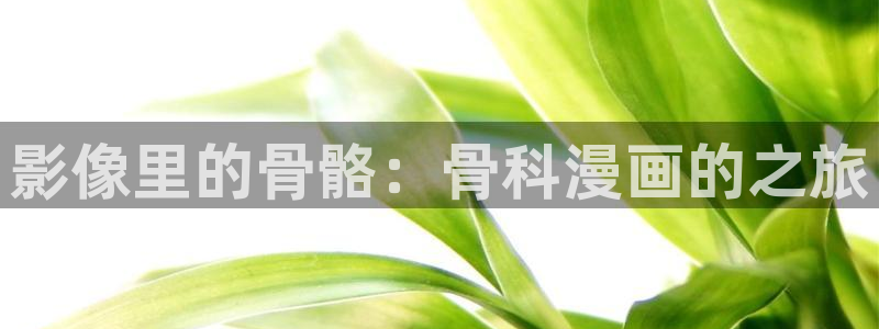 风车动漫永久：影像里的骨骼：骨科漫画的之旅