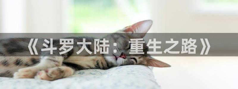 惊爆游戏风车动漫：《斗罗大陆：重生之路》