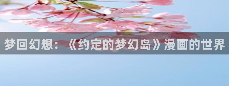 风车动漫专属网站：梦回幻想：《约定的梦幻岛》漫画的世界