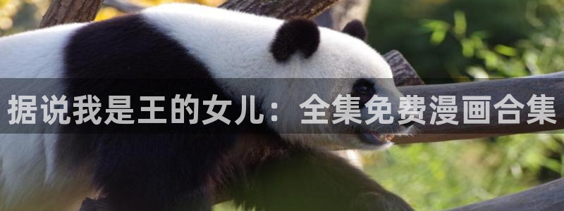 风车动漫在：据说我是王的女儿：