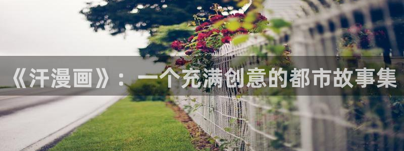 推荐风车动漫：《汗漫画》：一个